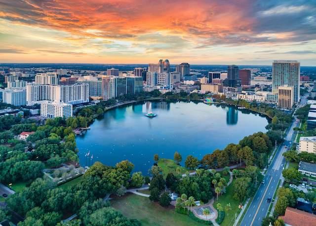 Orlando City View