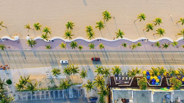 Palm Tree Road Florida